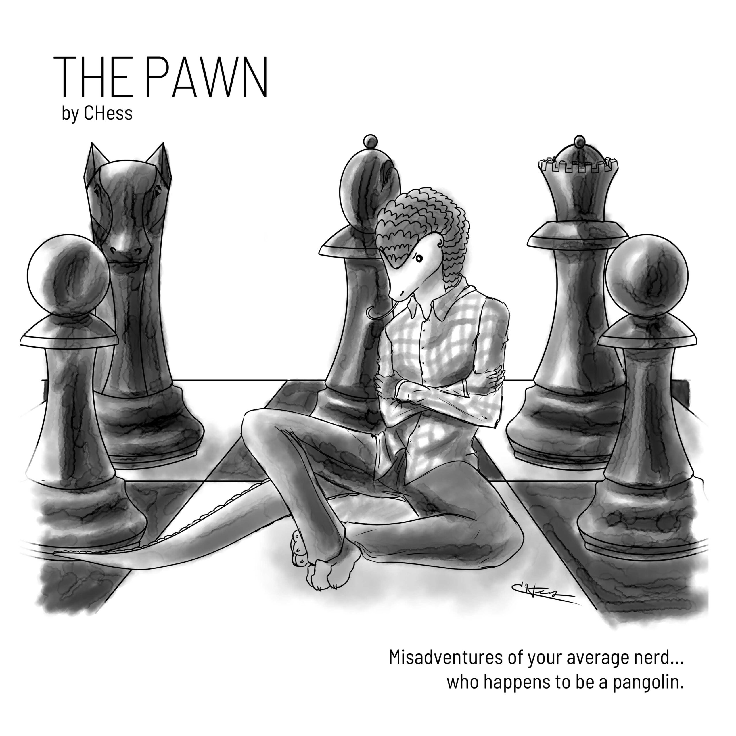 The Pawn Cover