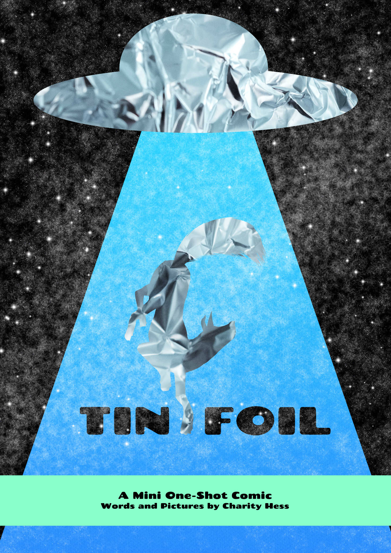 Tin Foil Cover